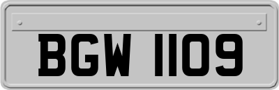 BGW1109