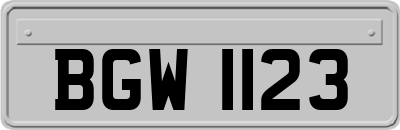 BGW1123