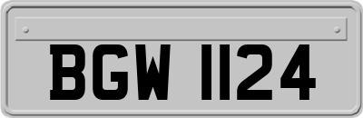 BGW1124