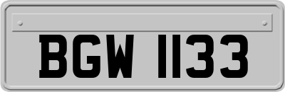 BGW1133