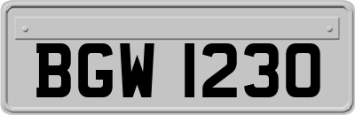 BGW1230