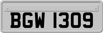 BGW1309