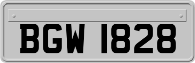 BGW1828