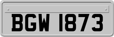 BGW1873