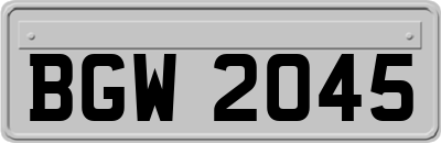 BGW2045