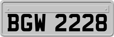 BGW2228