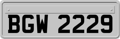 BGW2229