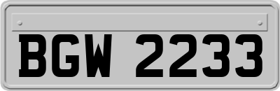 BGW2233