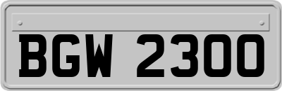 BGW2300