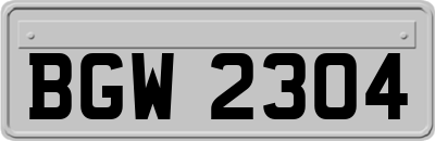 BGW2304