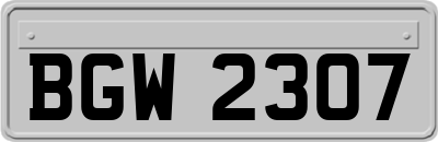 BGW2307