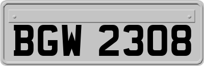 BGW2308