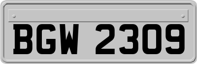 BGW2309