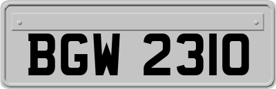 BGW2310