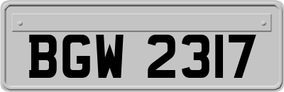 BGW2317
