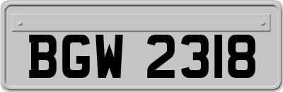 BGW2318