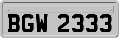 BGW2333