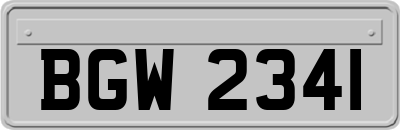 BGW2341