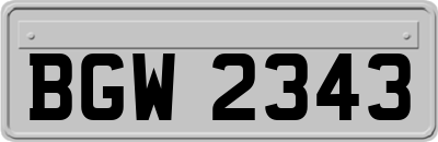 BGW2343