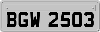 BGW2503