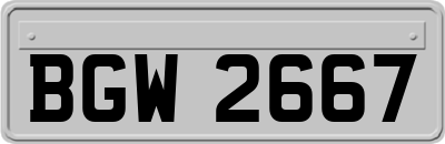 BGW2667