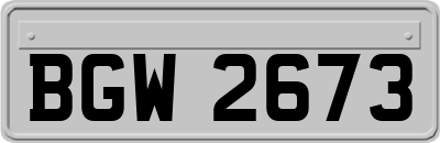 BGW2673