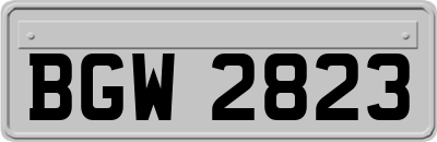 BGW2823