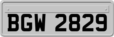 BGW2829