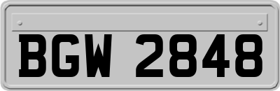 BGW2848
