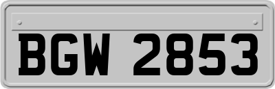 BGW2853