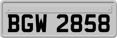 BGW2858
