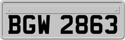 BGW2863