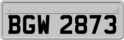 BGW2873