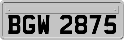 BGW2875