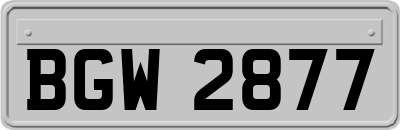 BGW2877