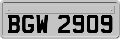 BGW2909