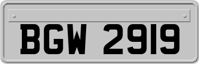 BGW2919