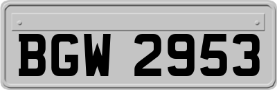 BGW2953