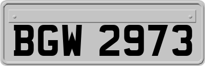 BGW2973