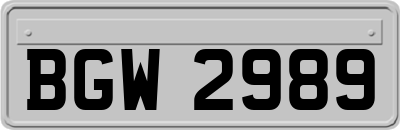 BGW2989