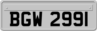 BGW2991