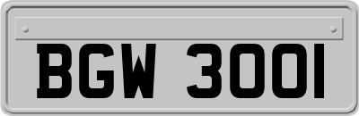 BGW3001