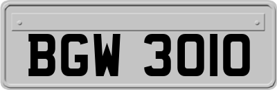 BGW3010