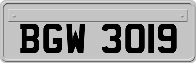BGW3019