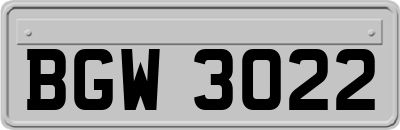 BGW3022
