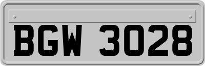 BGW3028