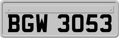 BGW3053