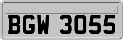 BGW3055