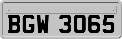 BGW3065