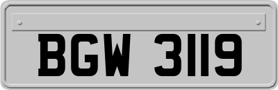 BGW3119